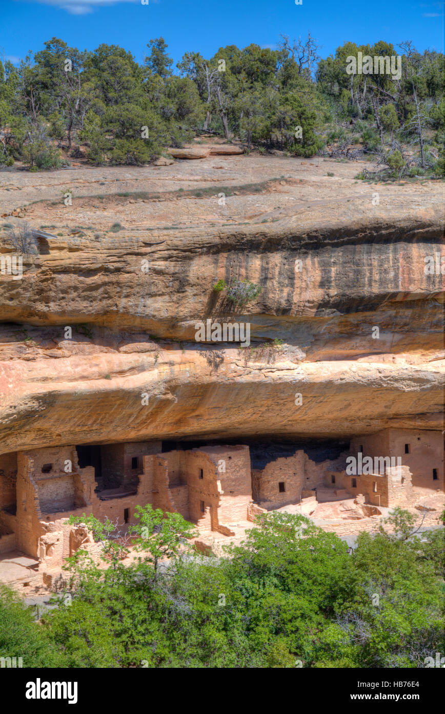 Spruce Tree House, Constructed between 1,211 and 1,278, Mesa Verde National Park, UNESCO World Heritage Site, Colorado, USA Stock Photo