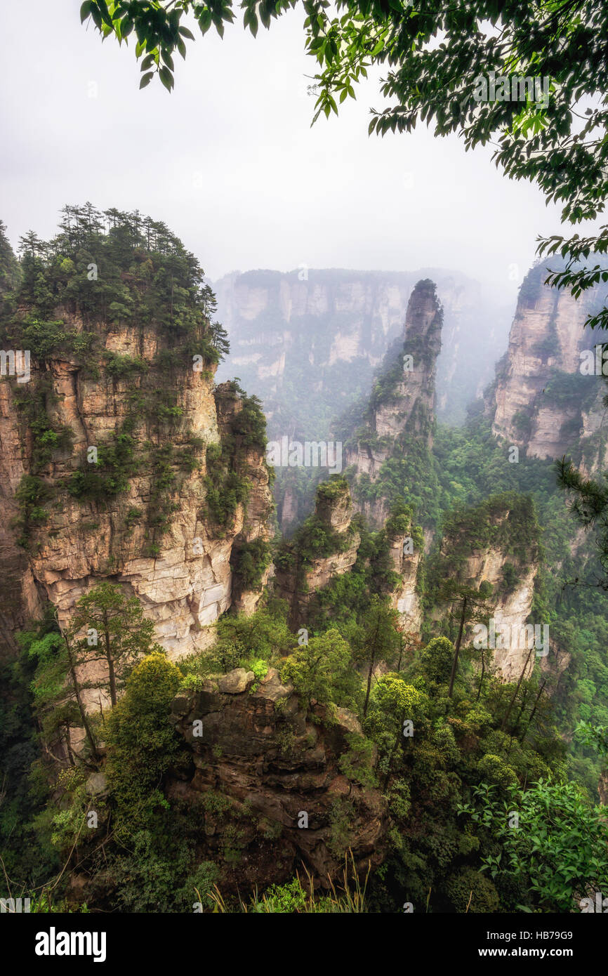 tall mountain peaks of yuanjiajie Stock Photo