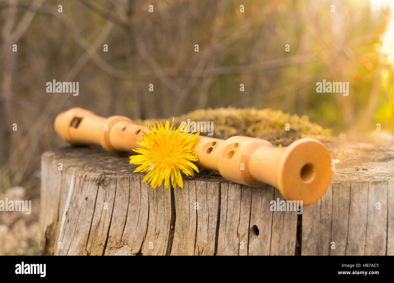 Flute in nature Stock Photo