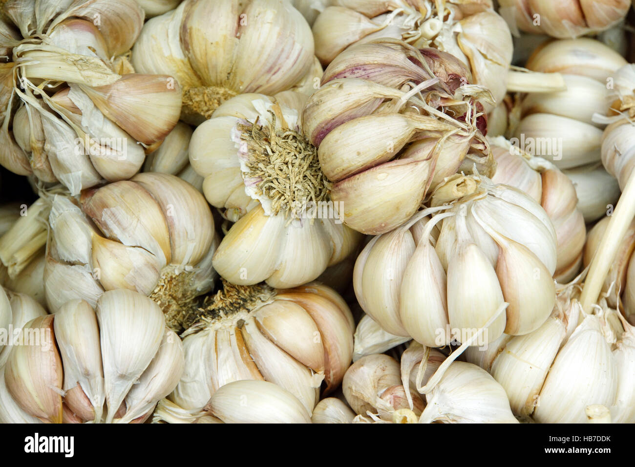 Knoblauch auf dem Bauernmarkt Stock Photo