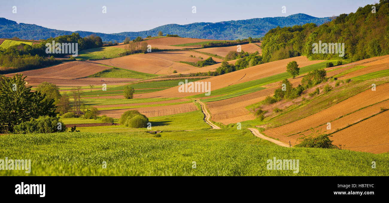 Idyllic agricultural landscape panoramic view Stock Photo
