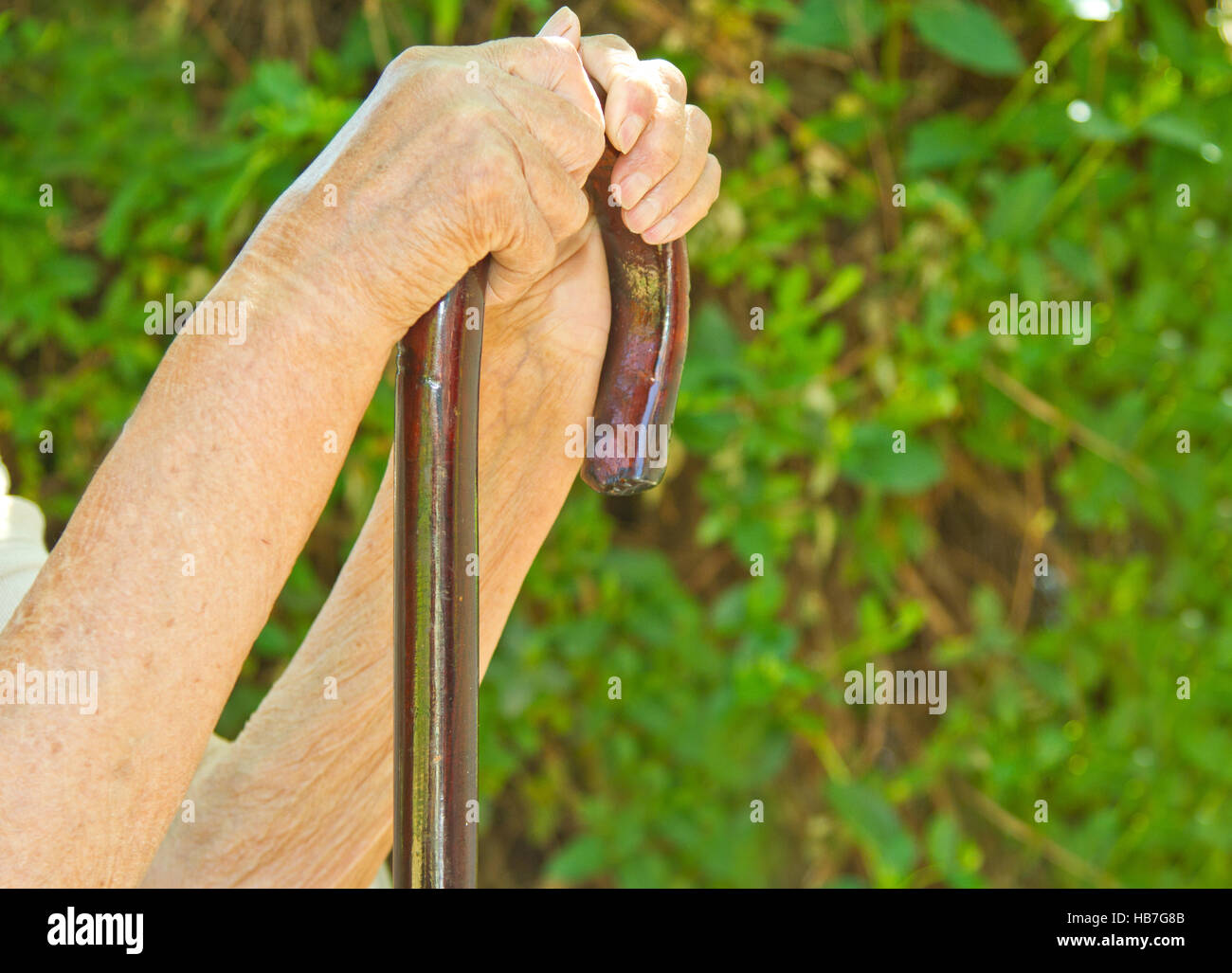 Old hands holding walking stick hi-res stock photography and images - Alamy