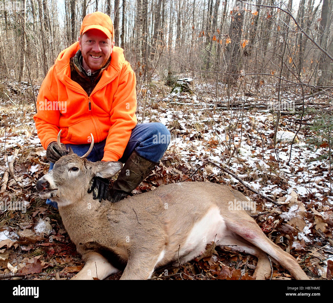 Wisconsin deer hunter with a spike buck in the woods Stock Photo