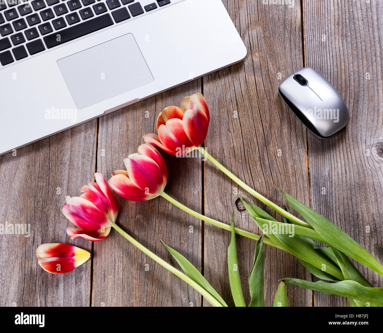Romanic flowers on rustic work desktop Stock Photo