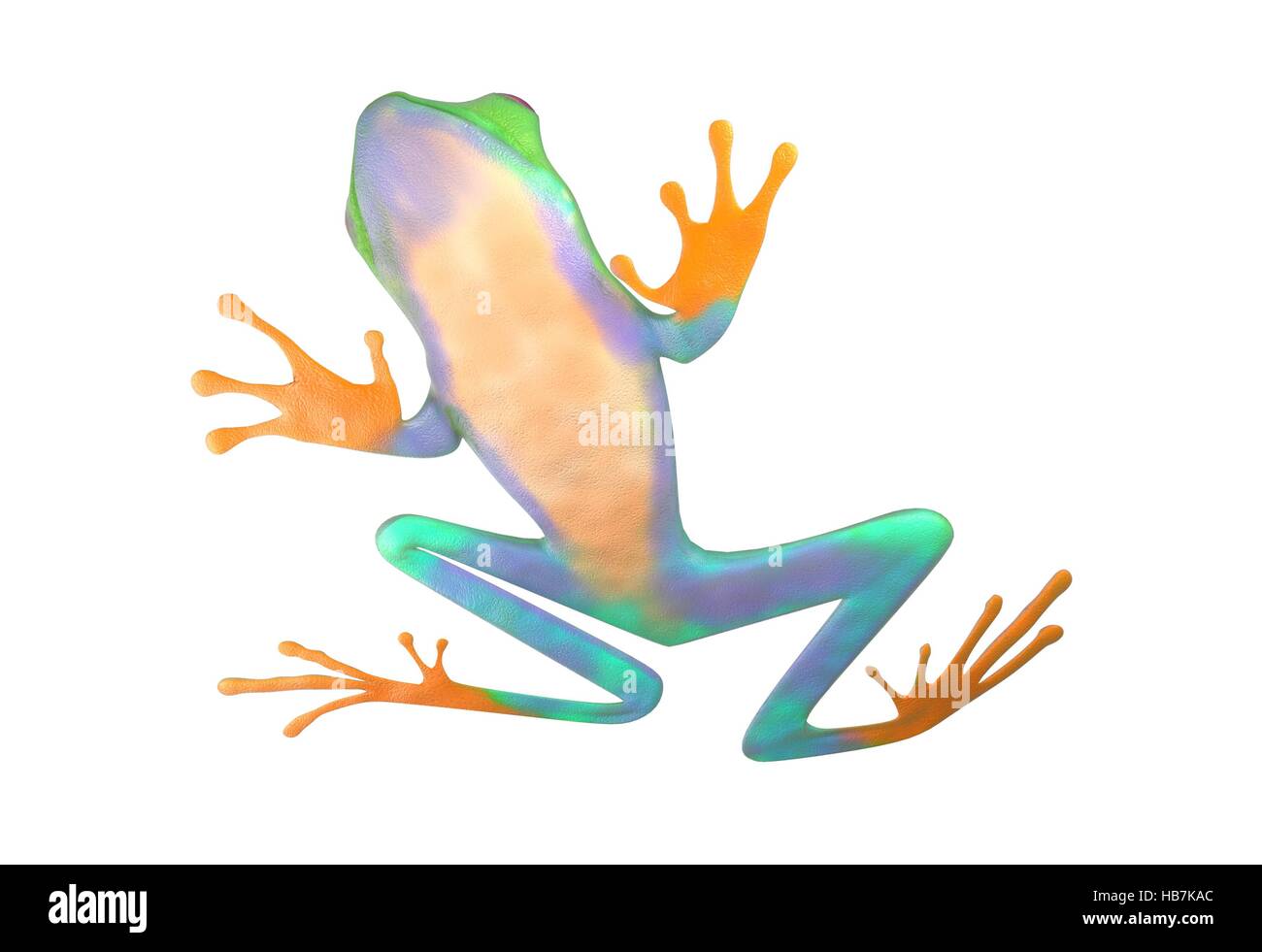 red eyed tree frog from tropical rainforest of Costa Rica isolated on white. Agalychnis callidrias. 3d illustration Stock Photo