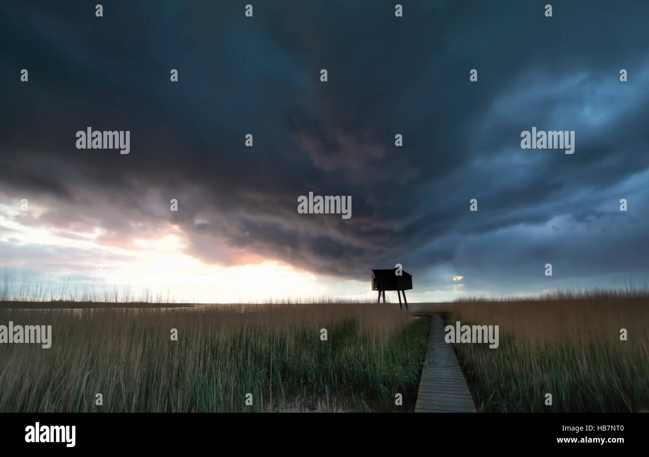 dark stormy sky over Wadden sea coast, Netherlands Stock Photo - Alamy