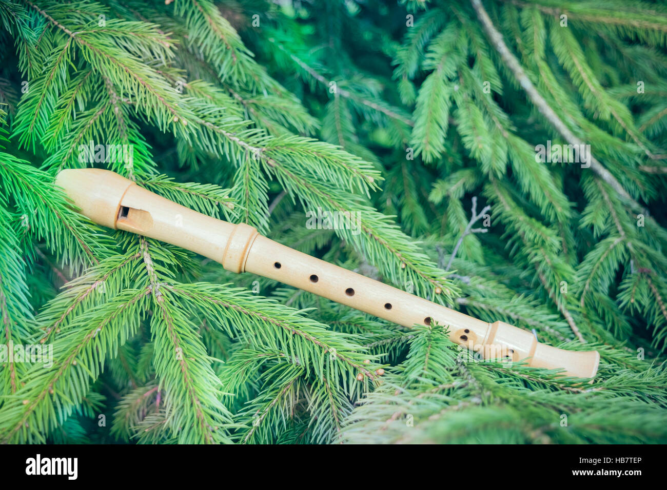 Flute on fir branches Stock Photo