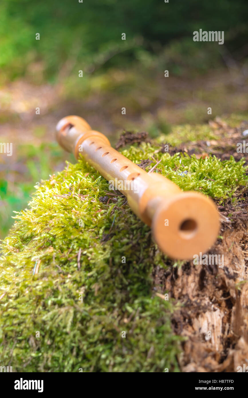 Flute on a tree trunk Stock Photo