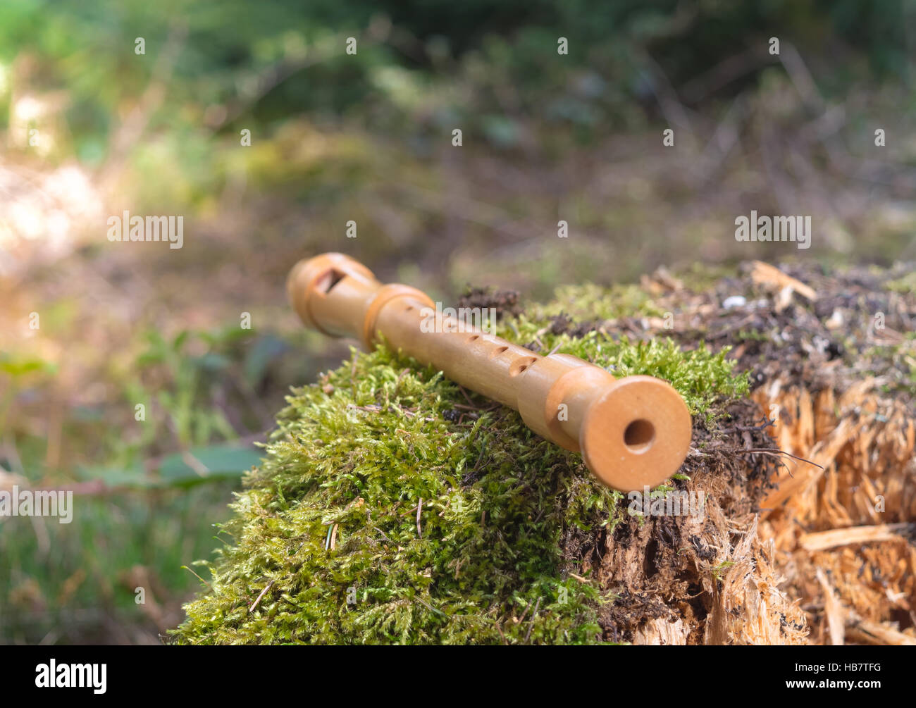 Flute on a tree trunk Stock Photo