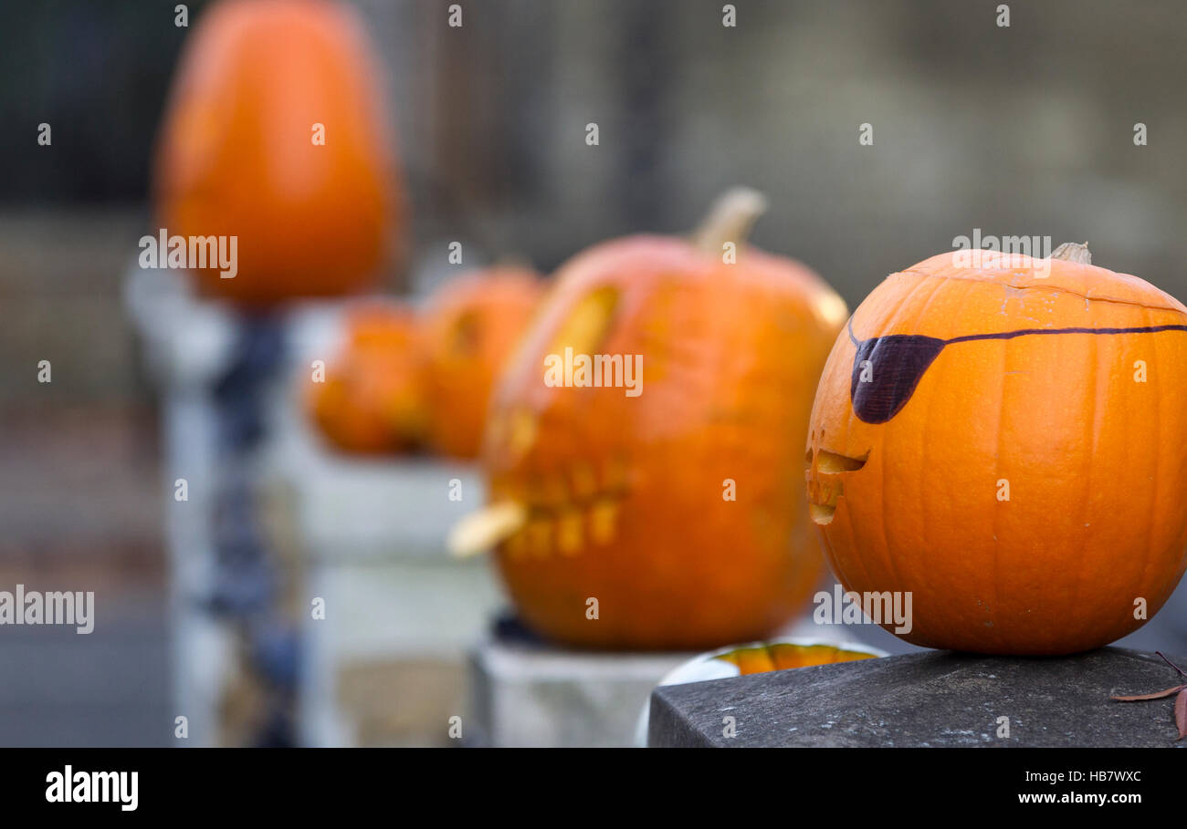Halloween pumpkins Stock Photo