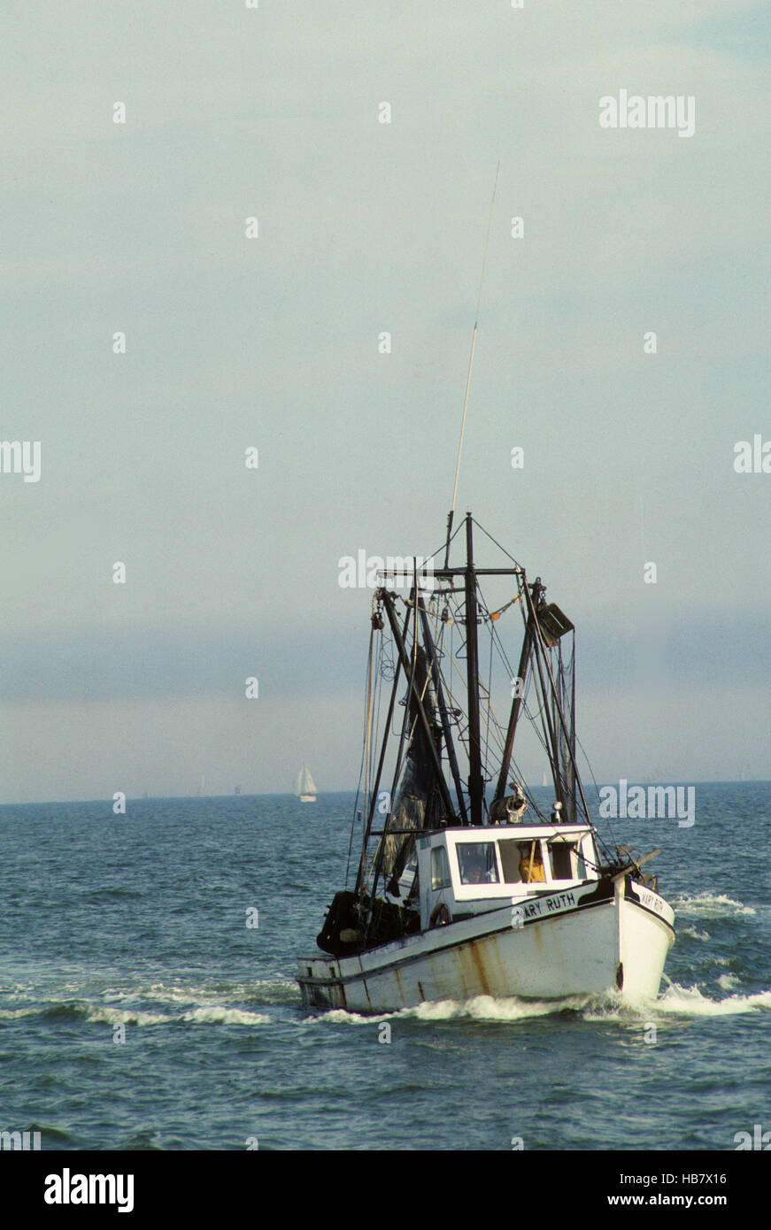 Shrimp and Oyster boats for catching wild caught seafood Stock Photo ...