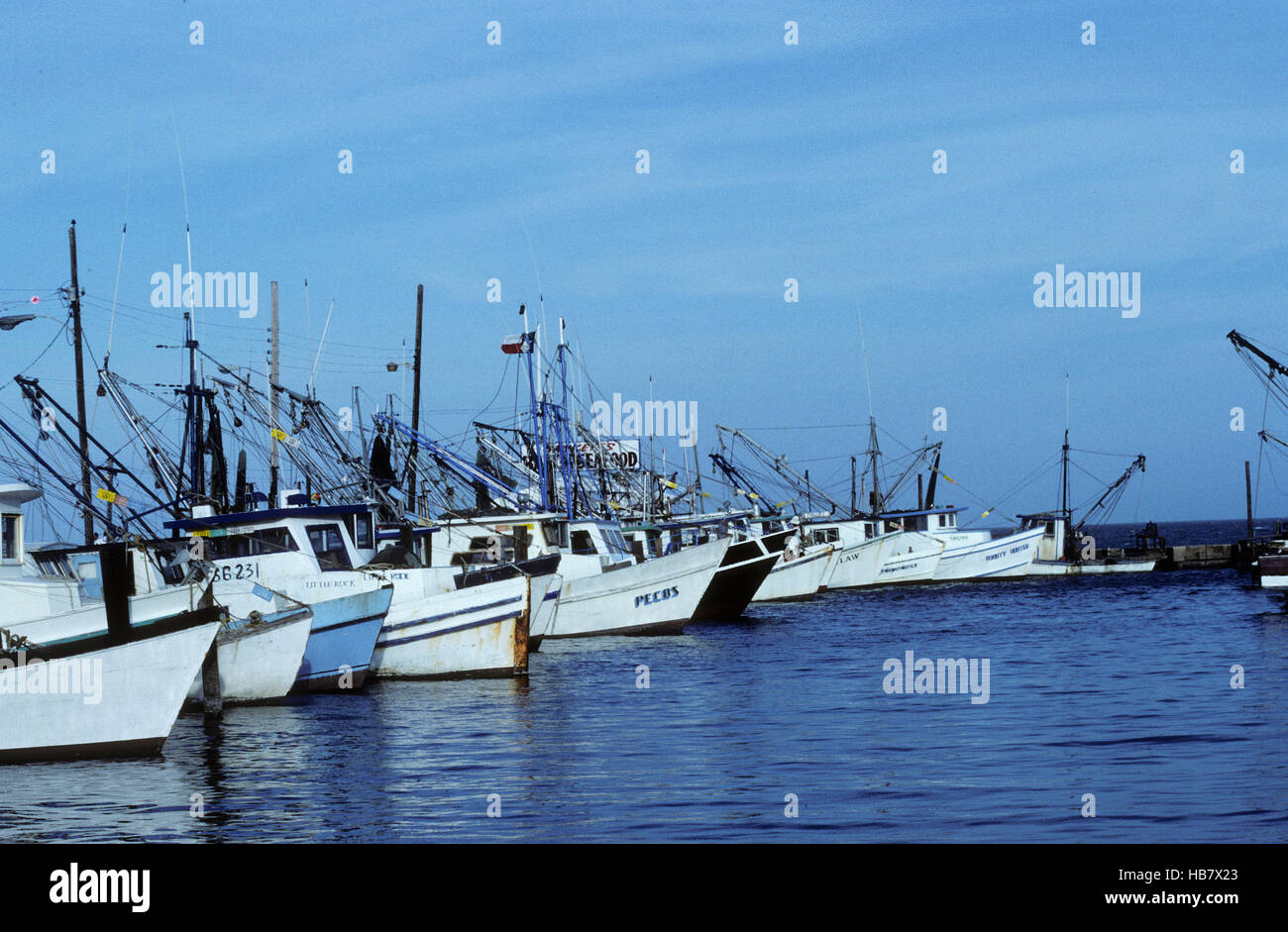 Shrimp and Oyster boats for catching wild caught seafood Stock Photo Alamy