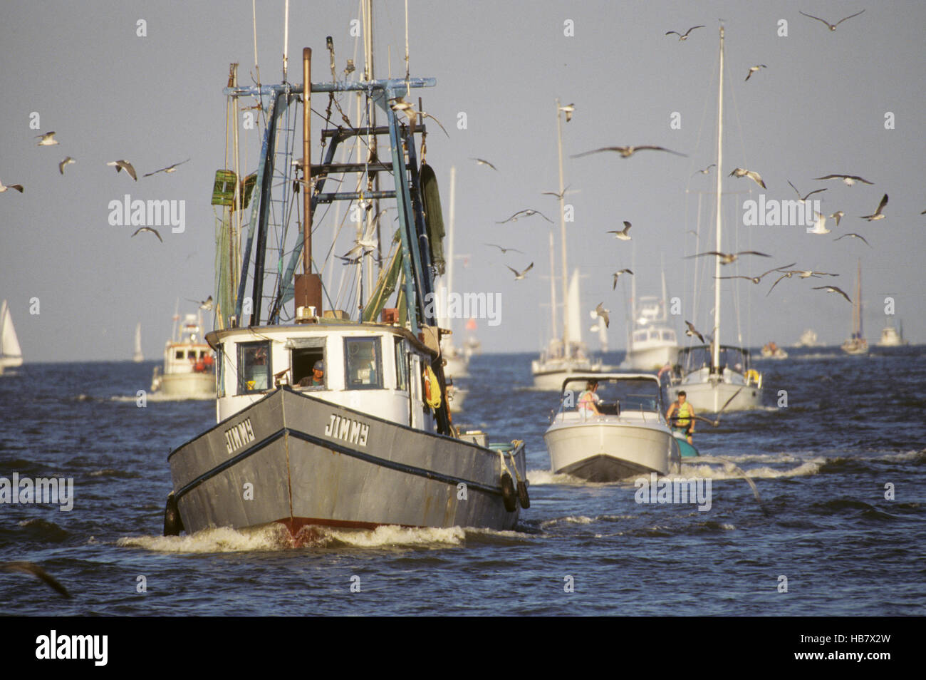 Shrimp and Oyster boats for catching wild caught seafood Stock Photo Alamy