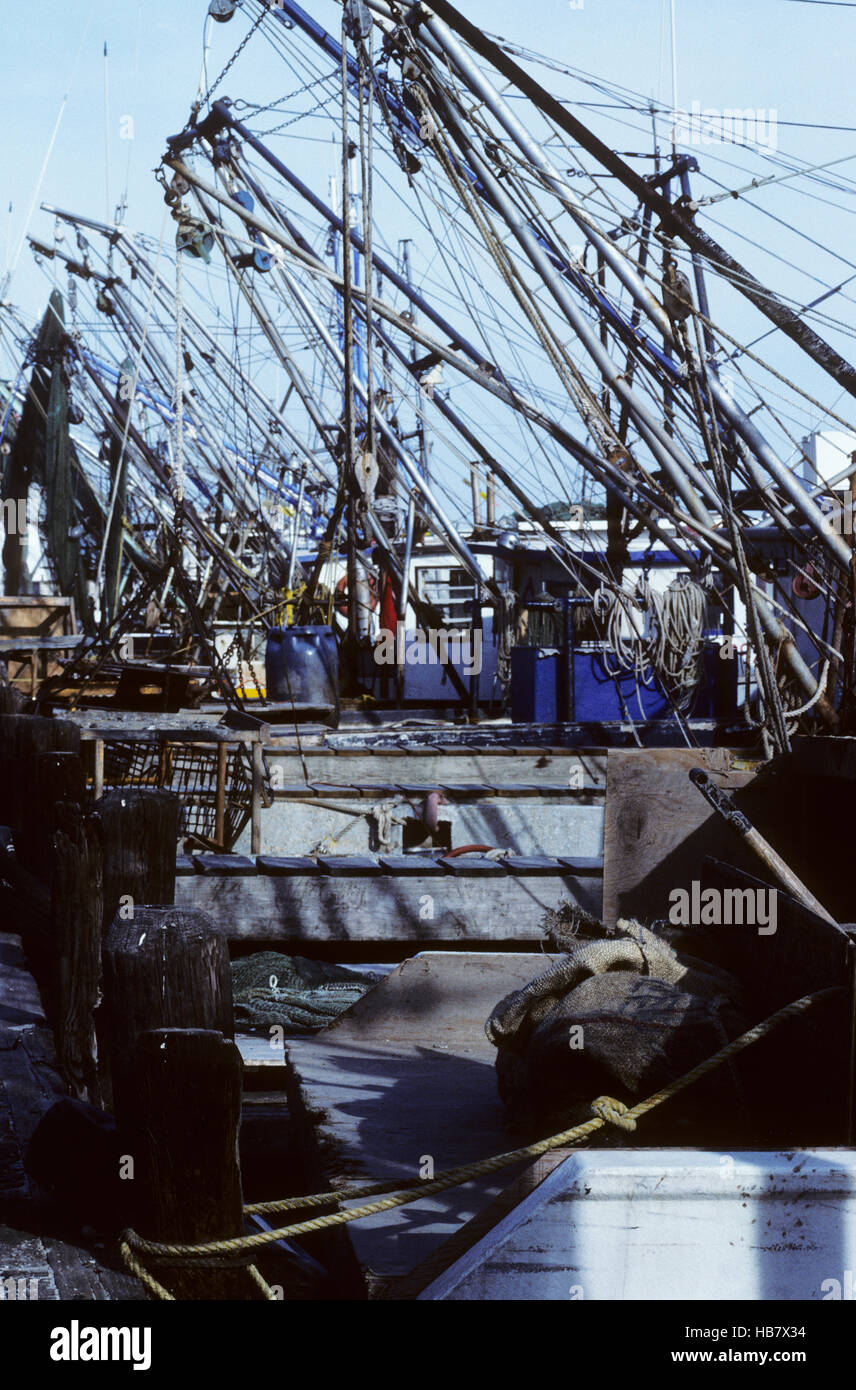 Shrimp and Oyster boats for catching wild caught seafood Stock Photo Alamy