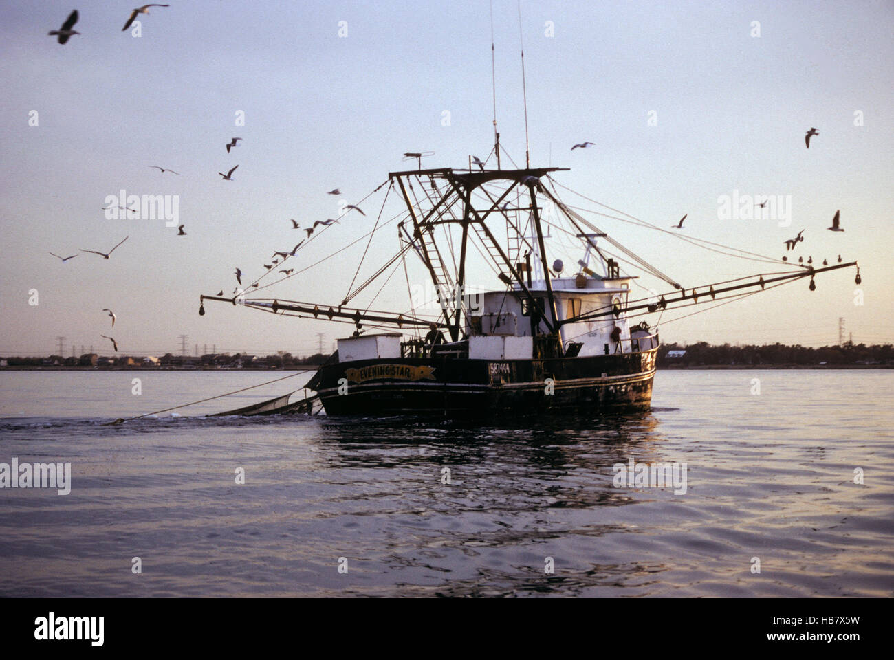 Shrimp and Oyster boats for catching wild caught seafood Stock Photo Alamy