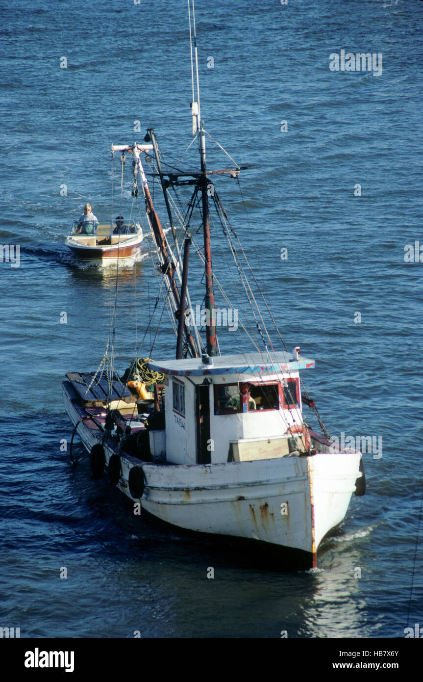 Shrimp and Oyster boats for catching wild caught seafood Stock Photo Alamy