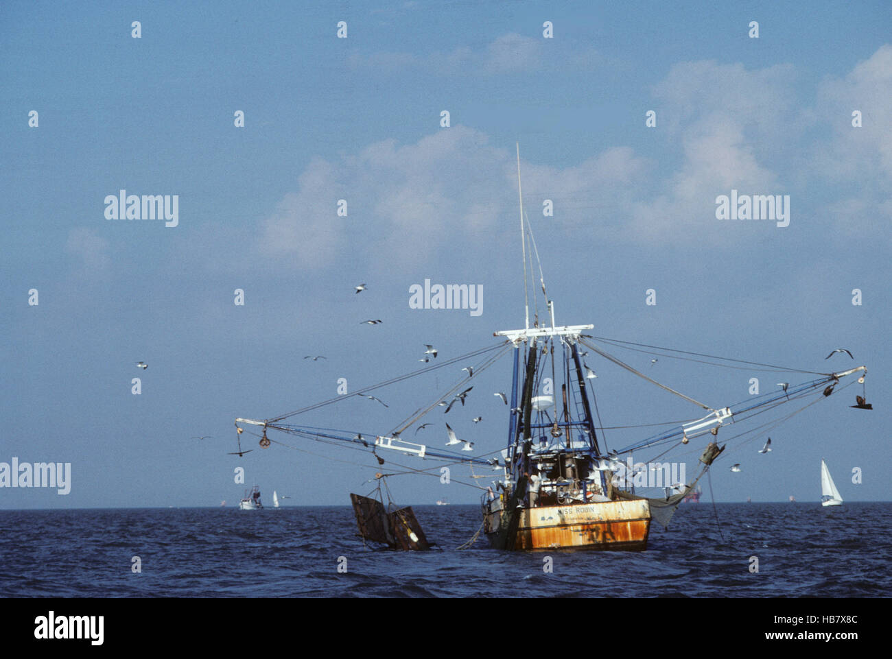 Shrimp and Oyster boats for catching wild caught seafood Stock Photo Alamy