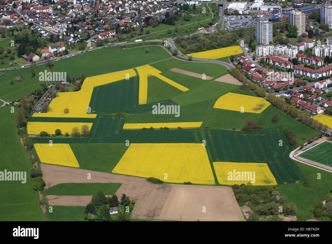 Rheinfelden with rapeseed fields Stock Photo