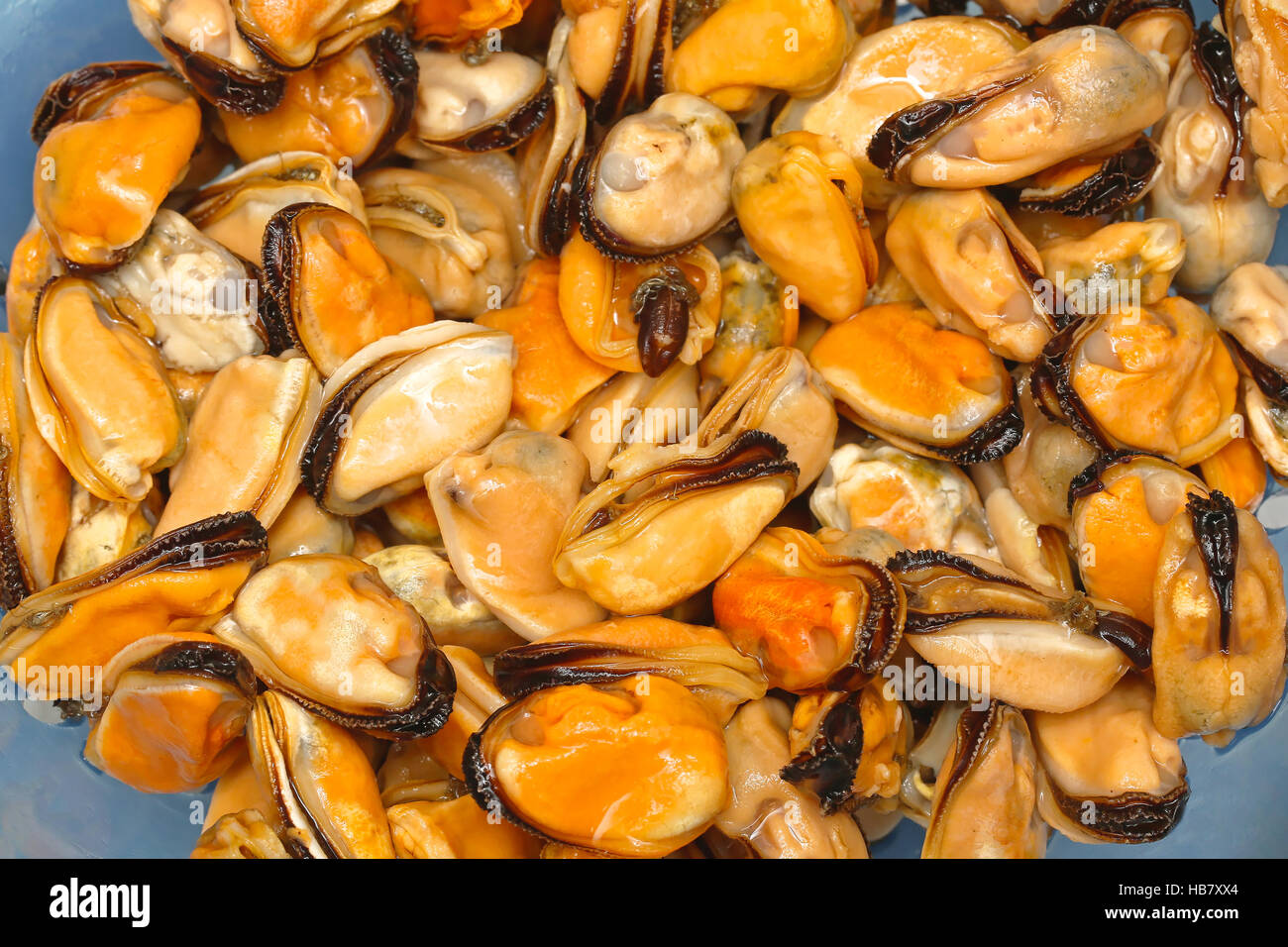Mussels Without Shell Recipe
