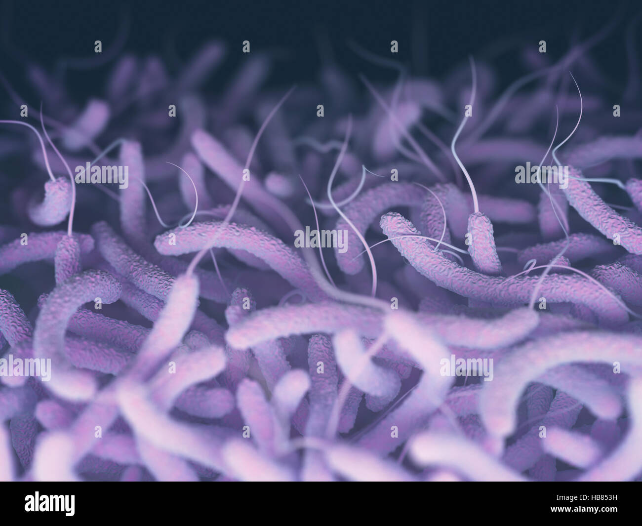 Vibrio Cholerae, Gram-negative bacteria. 3D illustration of bacteria with flagella. Stock Photo