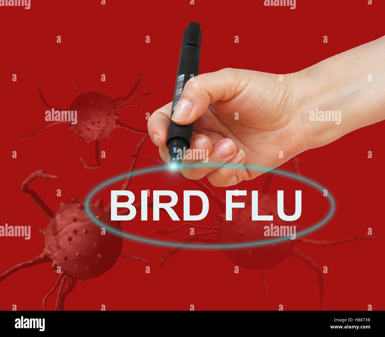 BIRD FLU Stock Photo Alamy