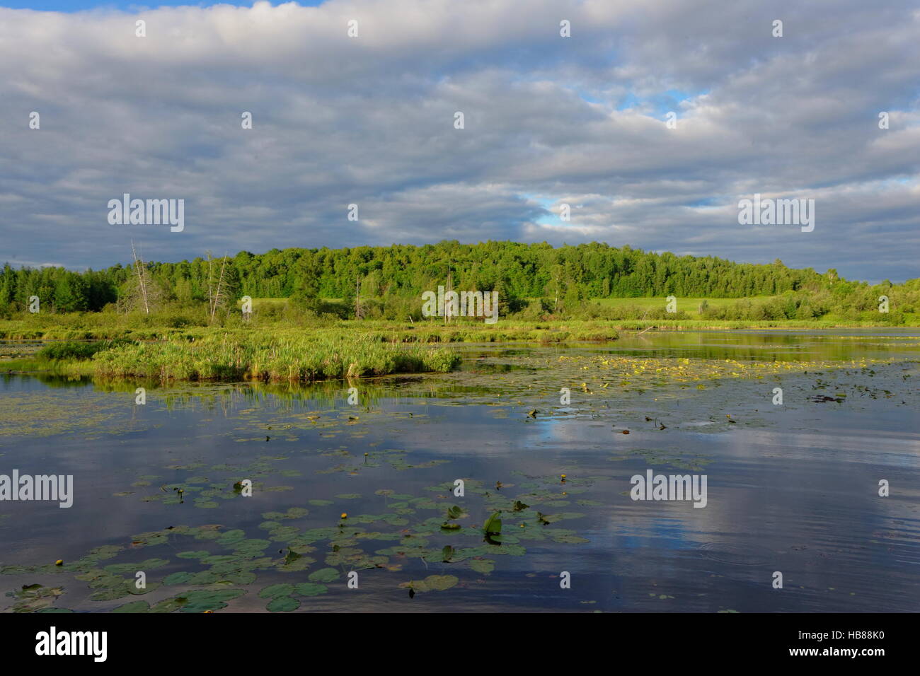 Canadian Wetlands Stock Photo