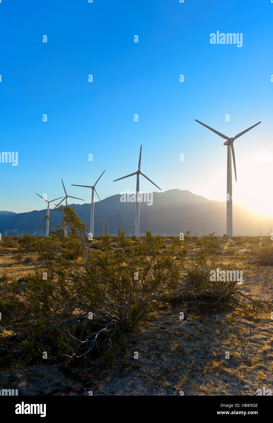 Silhouetted windmills at a Wind Farm in Palm Springs California Stock Photo