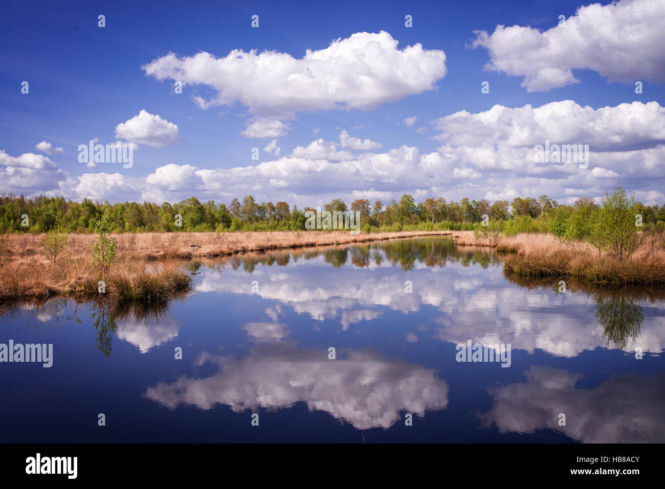 moor landscape Stock Photo