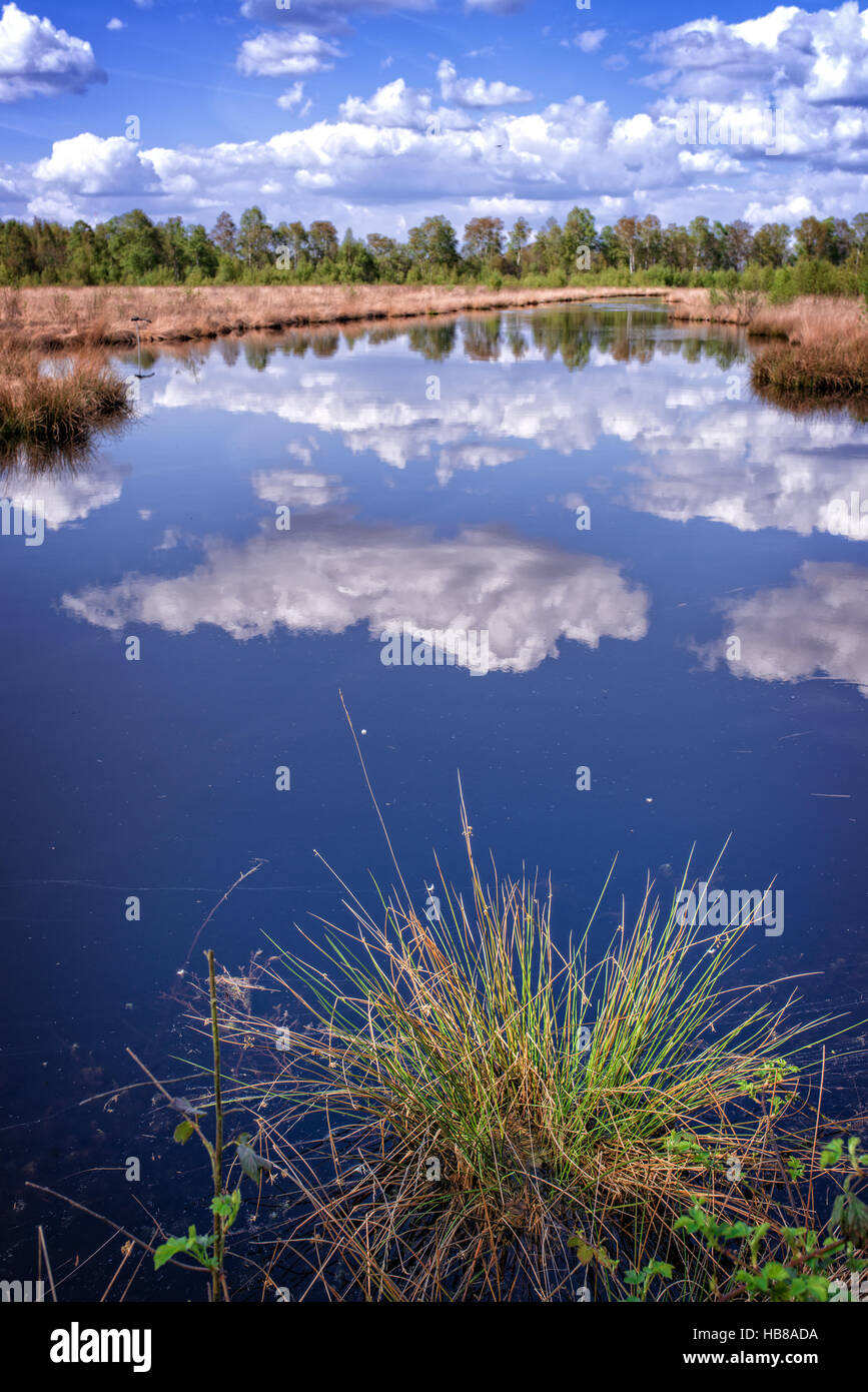 moor landscape Stock Photo