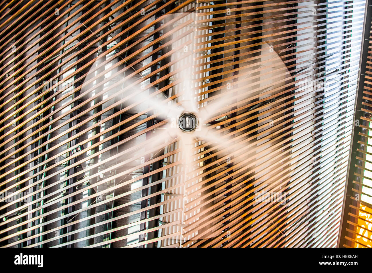 Ceiling Fan Rotating Movement Ventilation Stock Photo 127420681