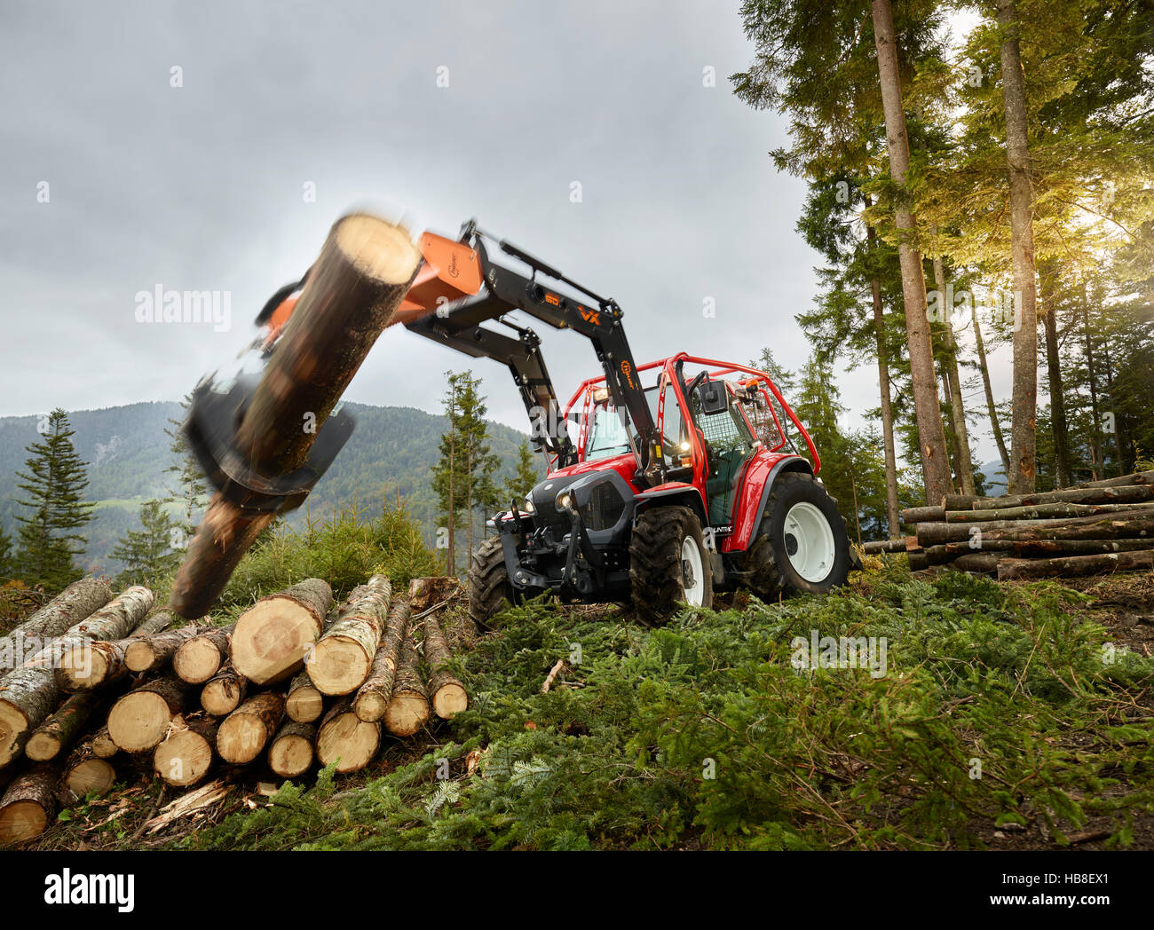 Forestry work, tractor moving tree trunk onto stack of wood, Lindner Traktor, Kundl, Tyrol, Austria Stock Photo