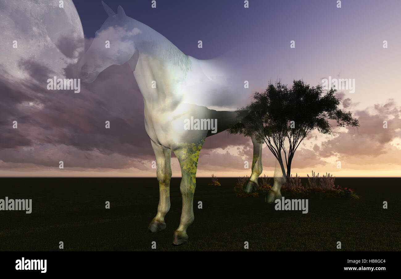 Close up double silhouette hi-res stock photography and images - Alamy