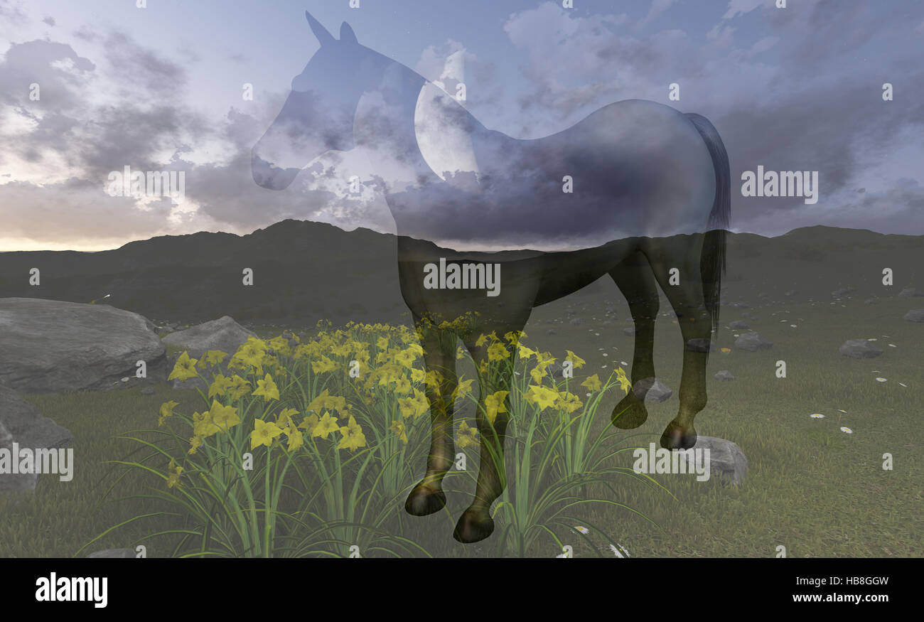 Double exposure silhouette female hi-res stock photography and images ...