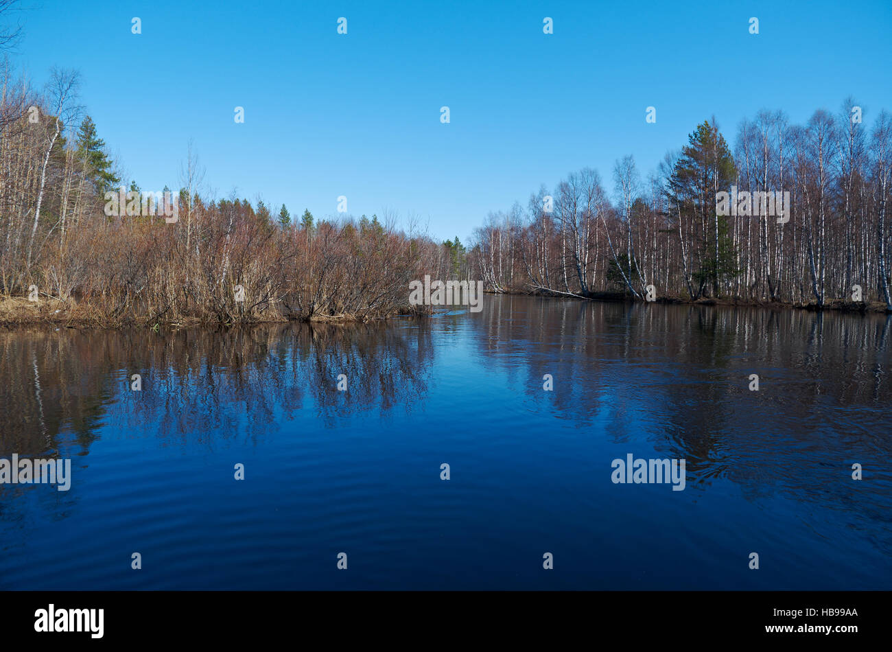 Spring flooding on the river Stock Photo - Alamy