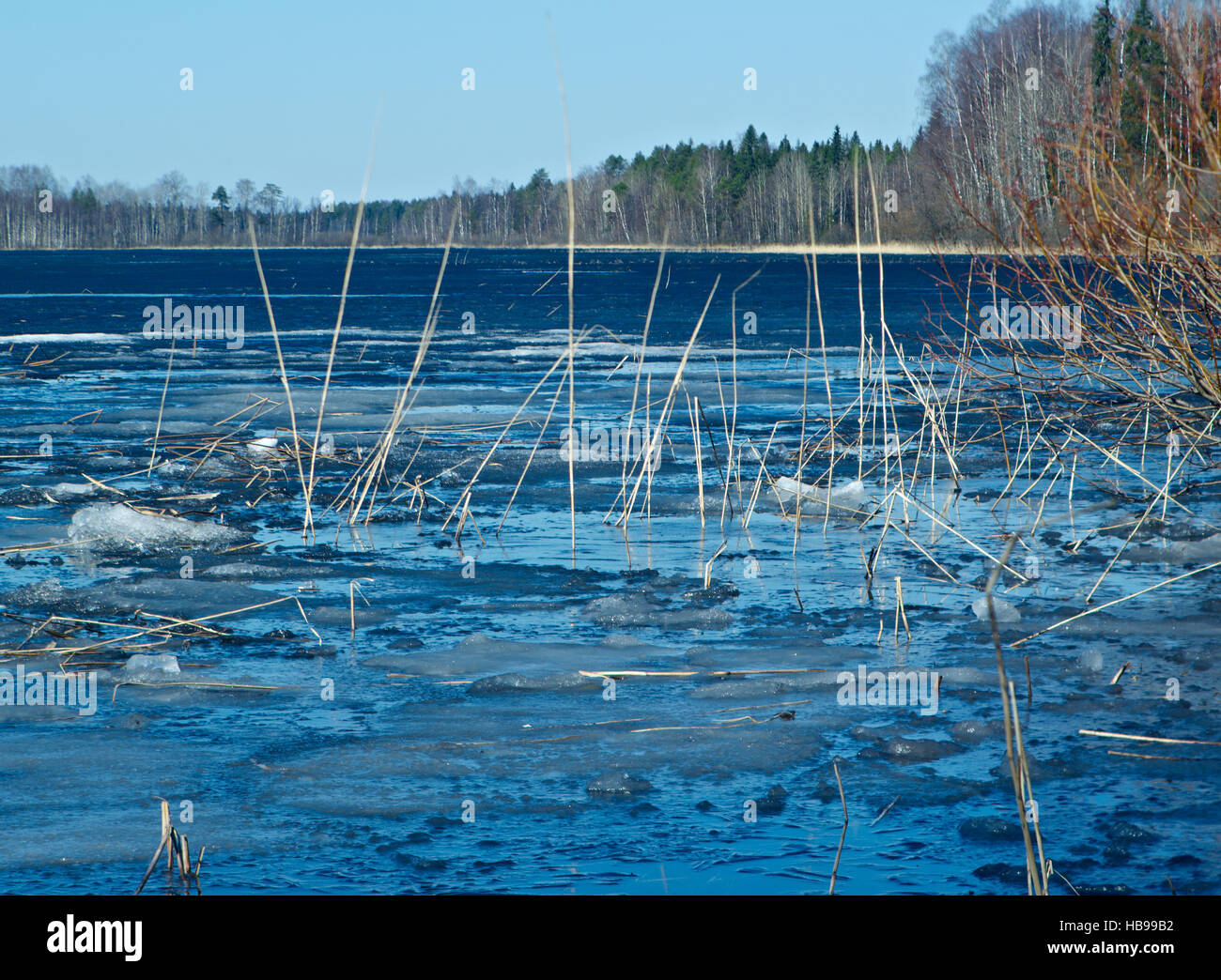 spring  flooding on the lake Stock Photo