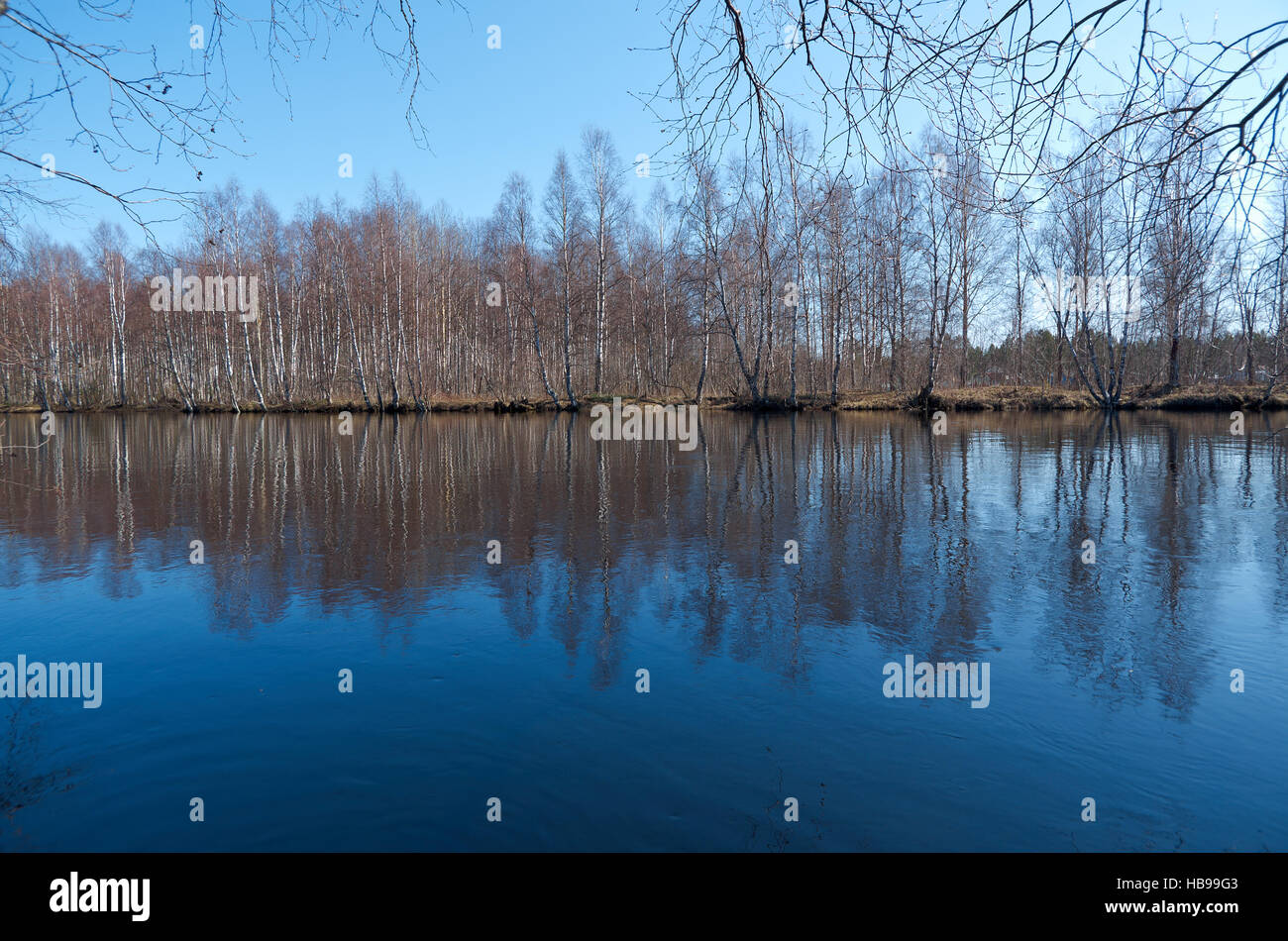 Spring flooding on the river Stock Photo - Alamy