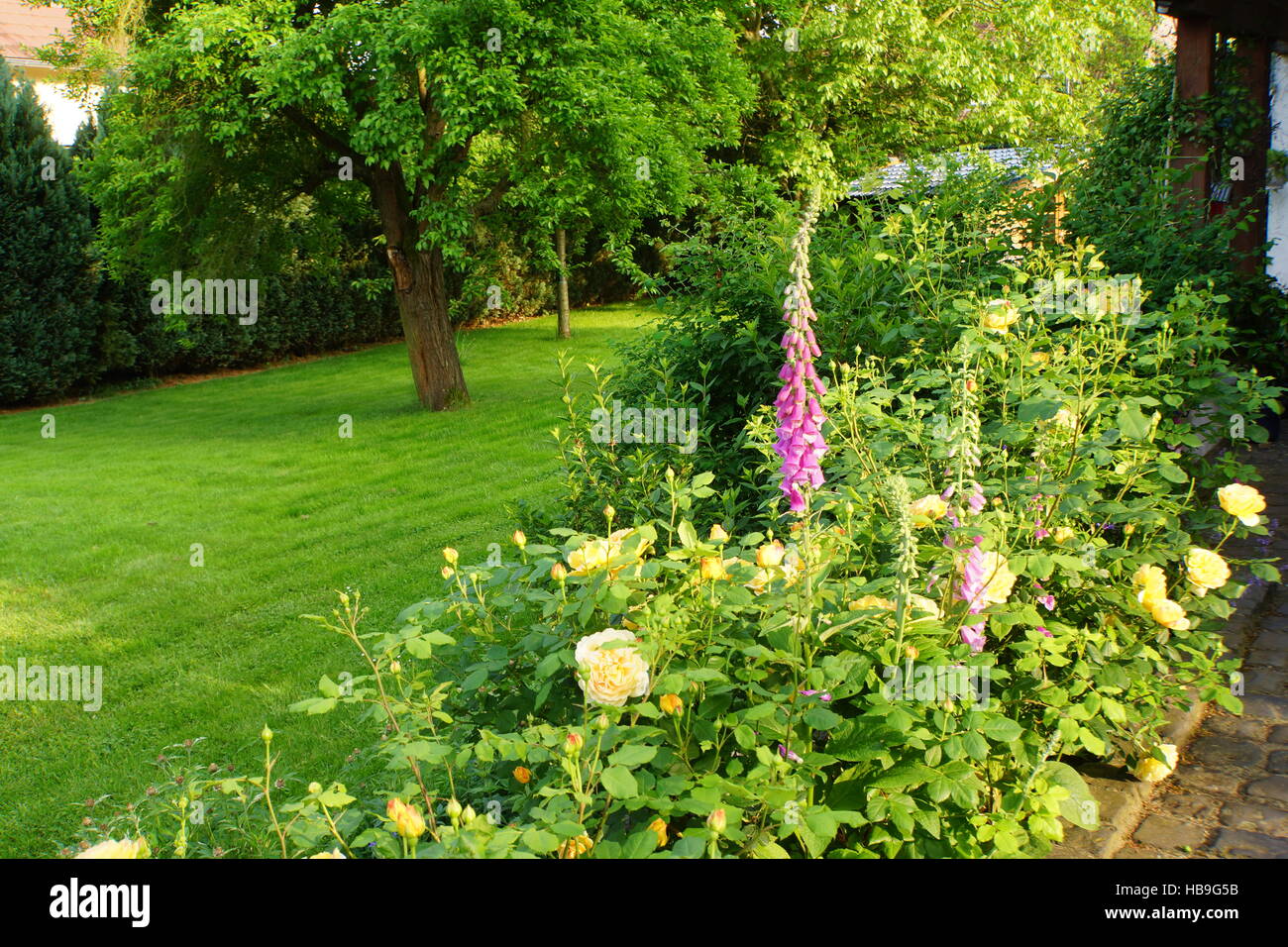 lawn and flower bed in the garden Stock Photo - Alamy