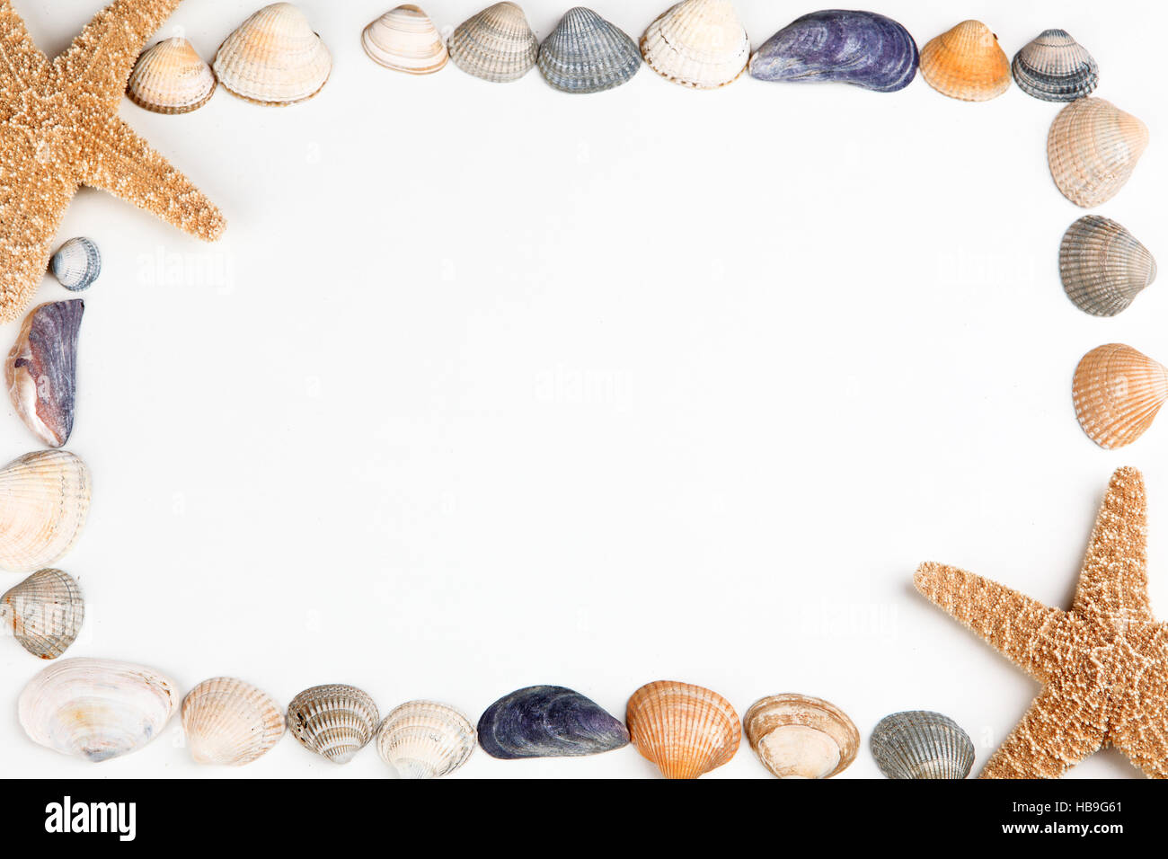 Shell Frame Images frame with shells Stock Photo - Alamy