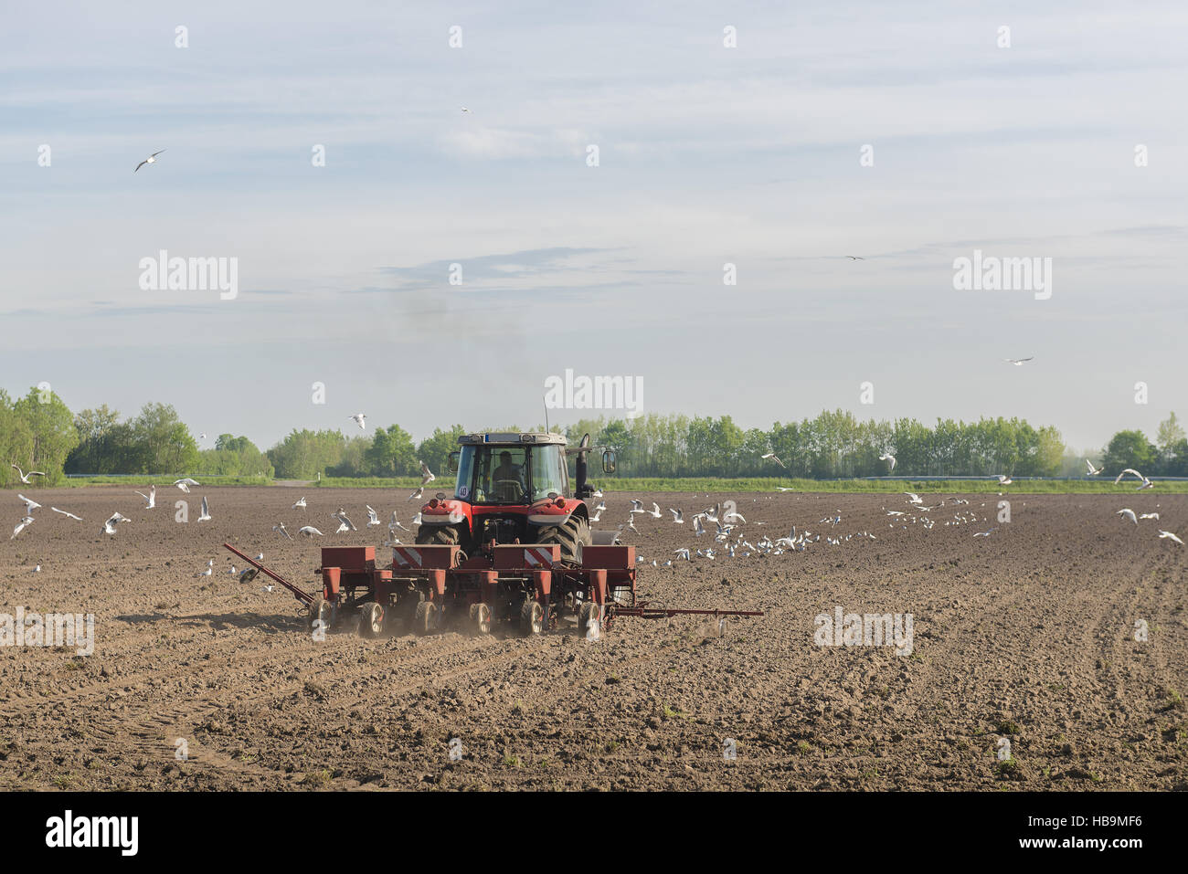 Red tractor ploughing on the arable land Stock Photo