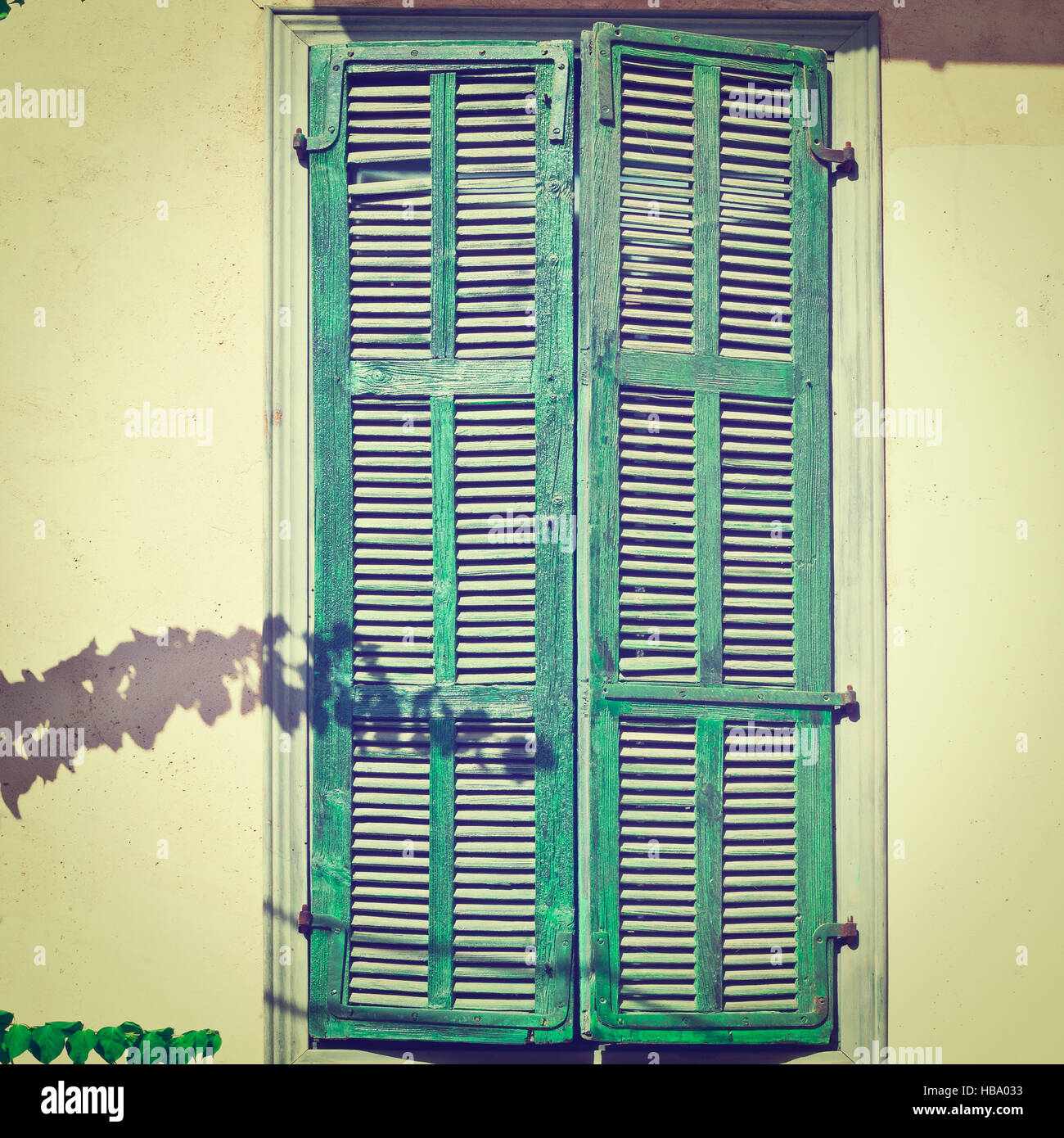 Green Shutters Stock Photo