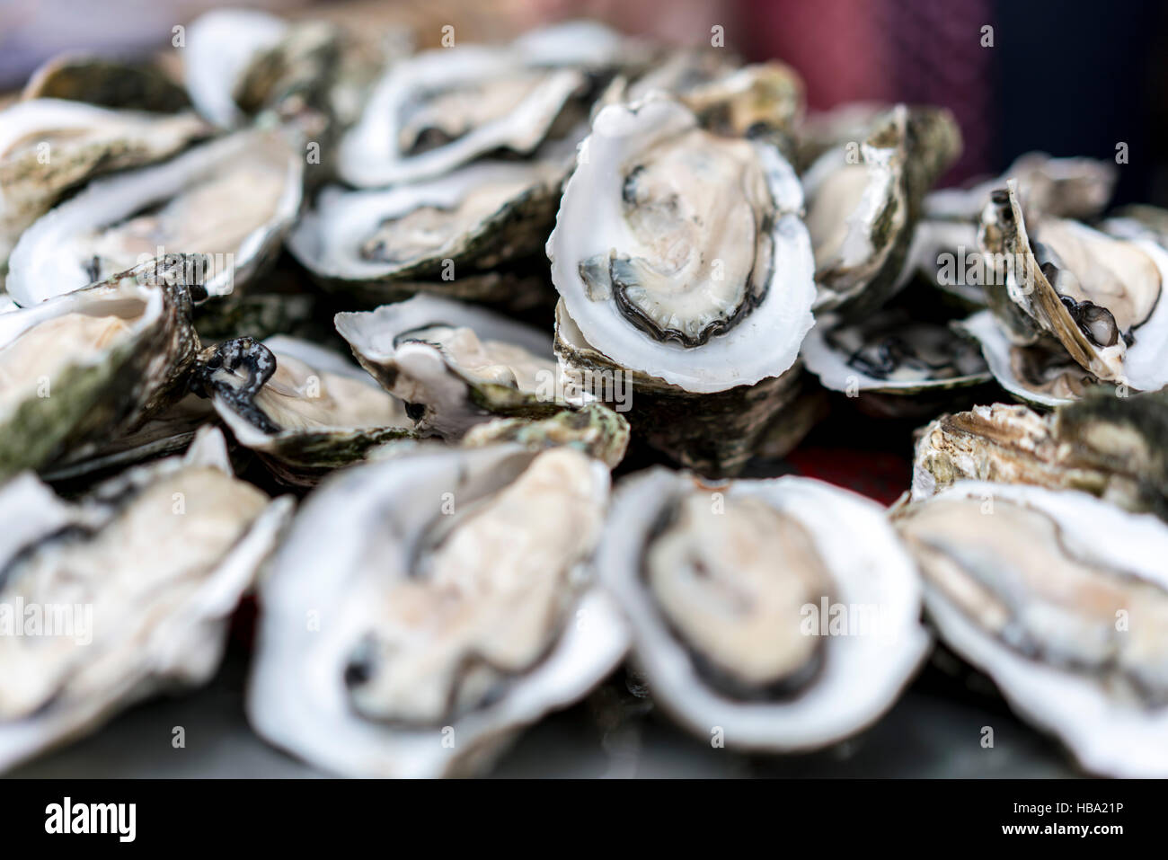 Fresh oysters for sale at Market in Hainan China Stock Photo