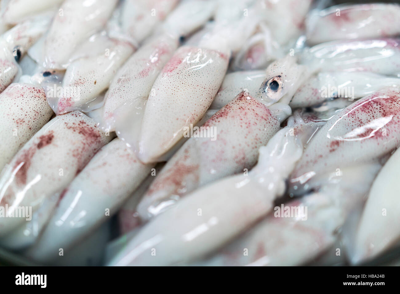 Squid market china hi-res stock photography and images - Alamy