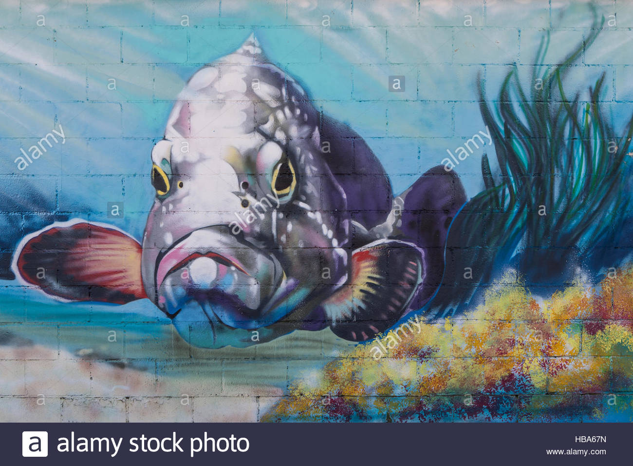 Download 61 Gambar Grafiti Fish Paling Bagus Gratis