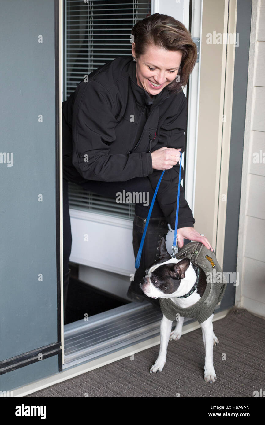 Woman getting her Boston Terrier dog ready to go out for a walk in cold weather Stock Photo