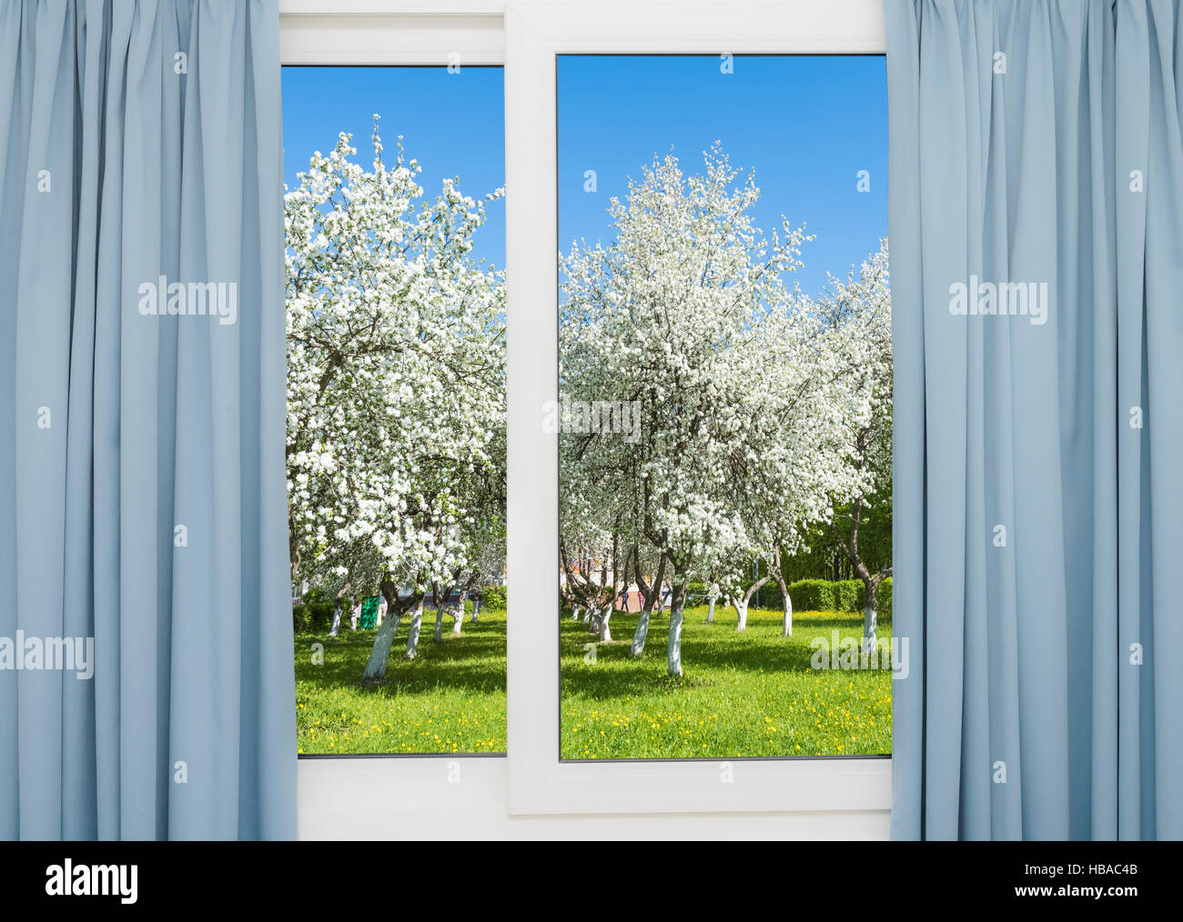 view window flowering tree Stock Photo - Alamy