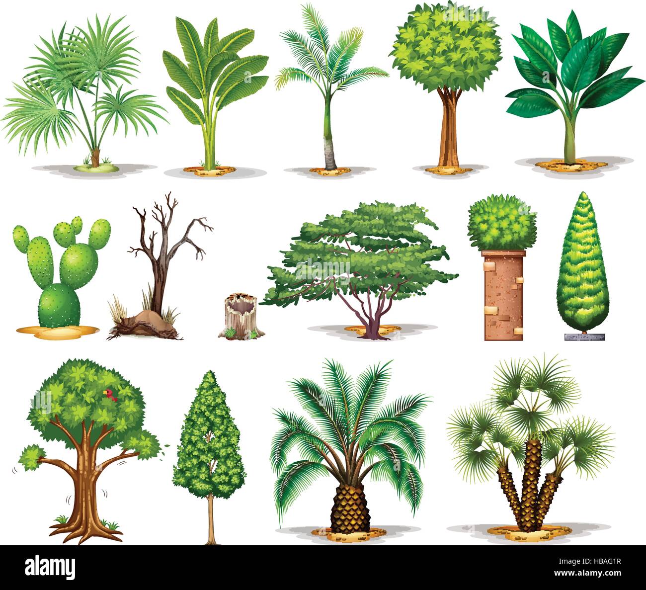 Different types of trees illustration Stock Vector