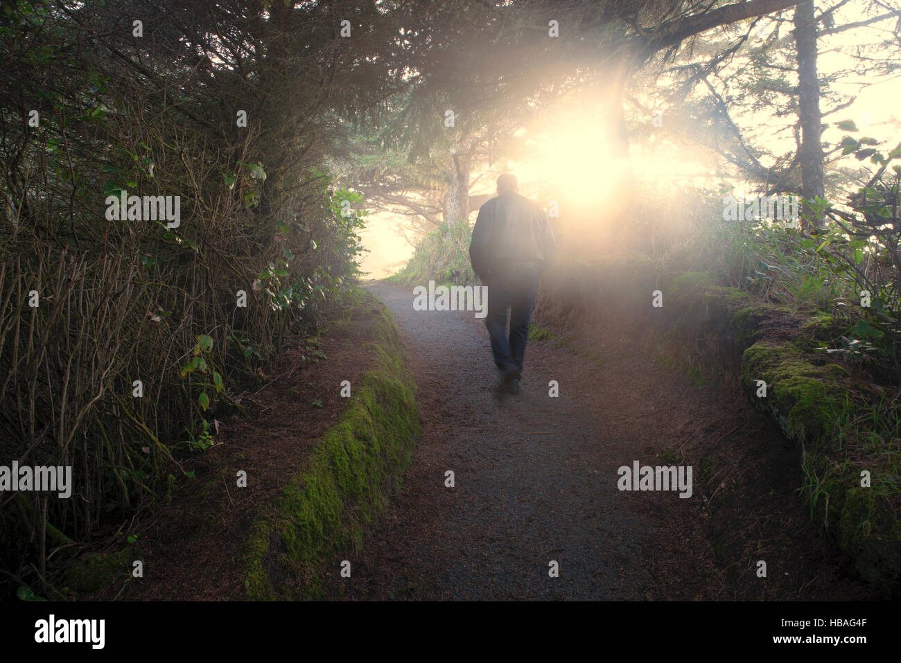 Person in the forest hi-res stock photography and images - Alamy