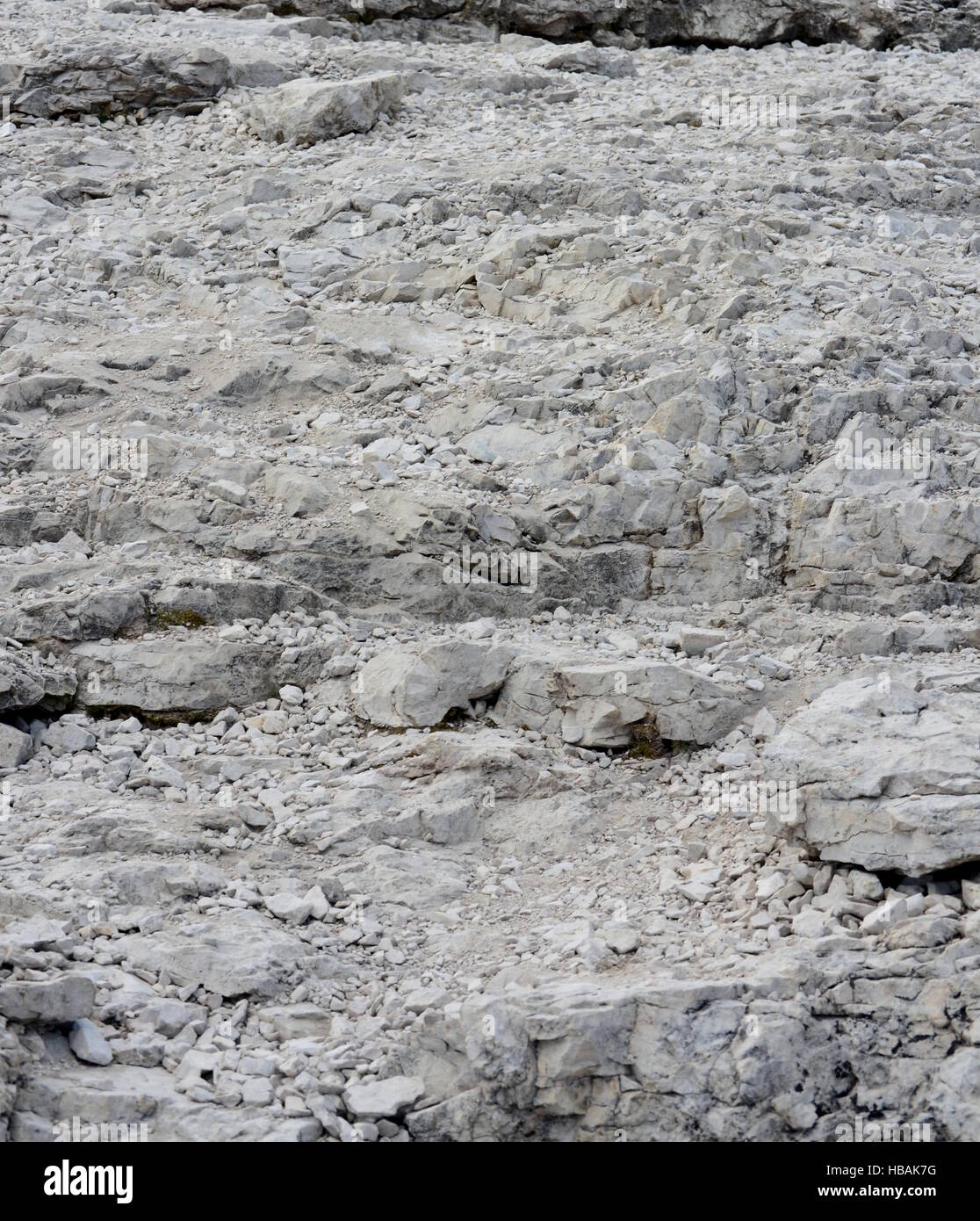 Background texture detailed rocks surface Stock Photo Alamy