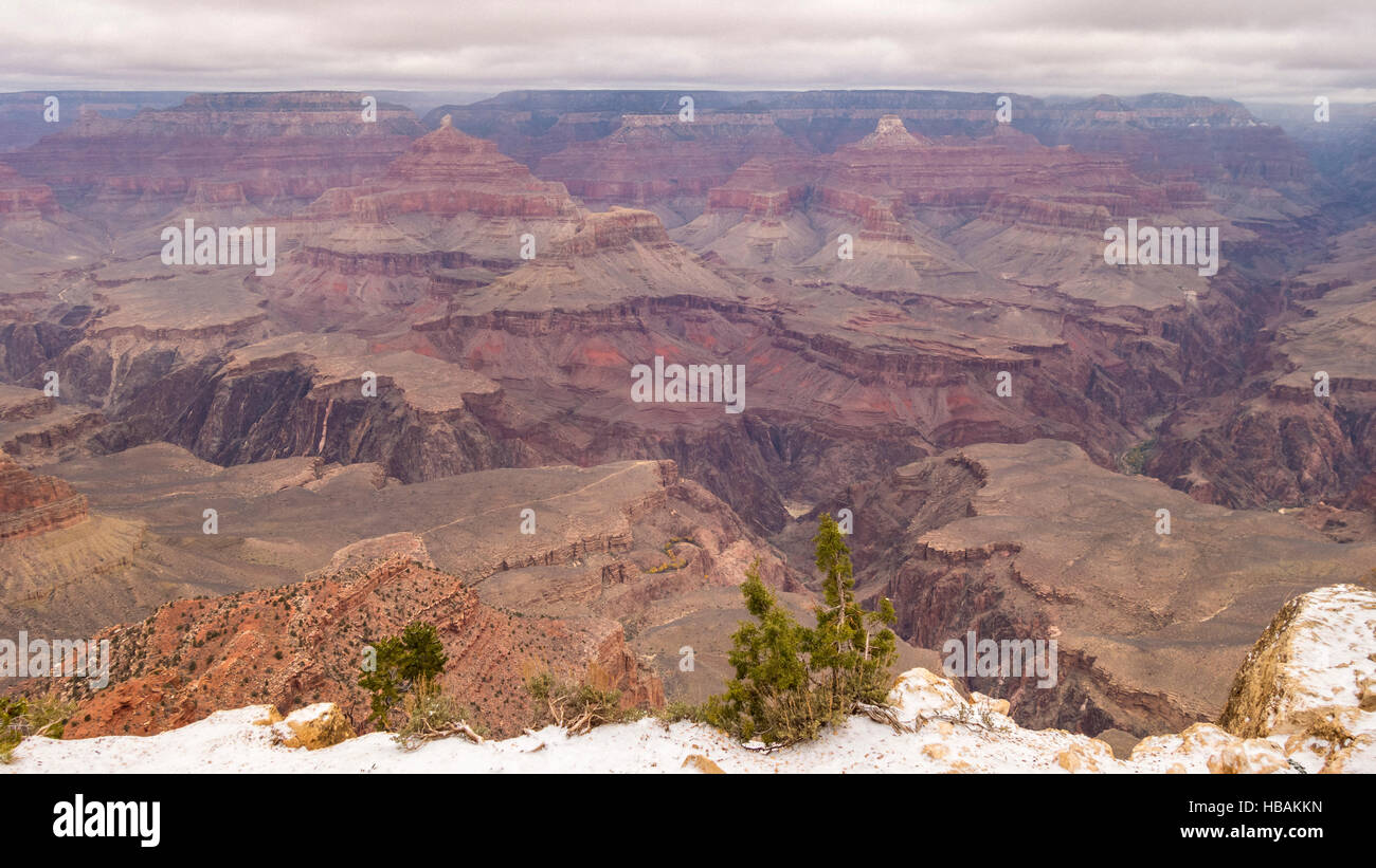 The Grand Canyon National Park in Arizona Stock Photo Alamy