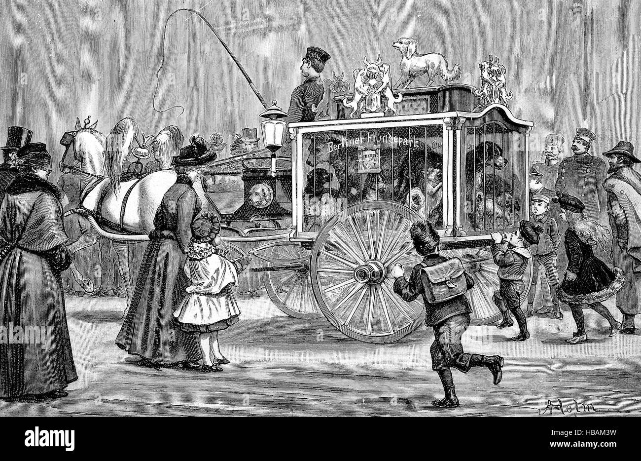 decorative advertising coach of the Berlin Dog Parks, Berliner Hundepark, Germany, hictorical illustration from 1880 Stock Photo